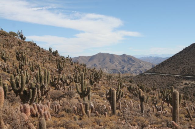 habitat.jpg