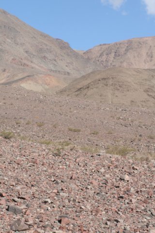 habitat.jpg
