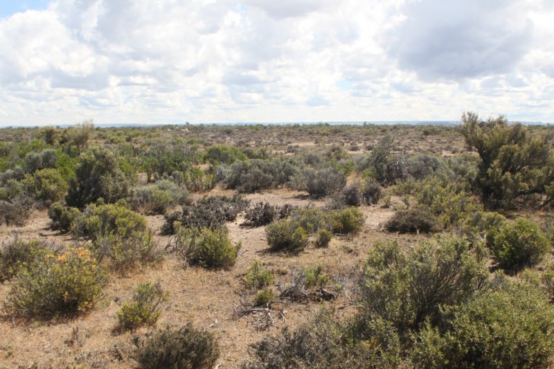 habitat.jpg