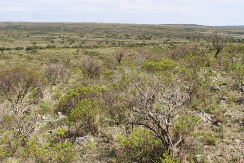 habitat.jpg