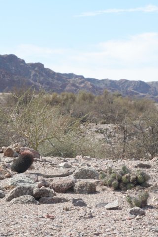 habitat.jpg