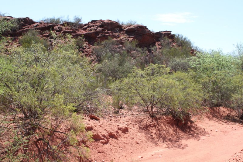 habitat.jpg
