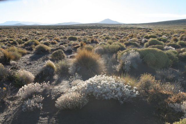 habitat.jpg