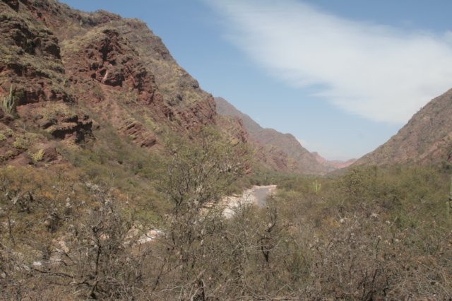 habitat.jpg