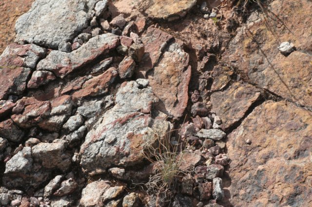 habitat.jpg