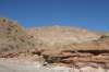 habitattrichocereuswerdermannianusbackground_small.jpg