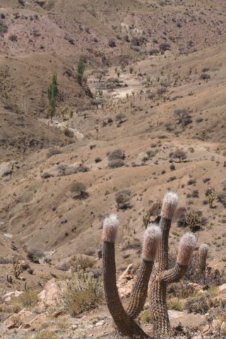habitat.jpg