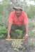 discocactusboliviensisthomasribero_small.jpg