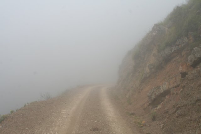 habitat.jpg