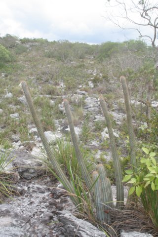 habitat.jpg