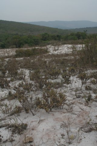 habitat.jpg