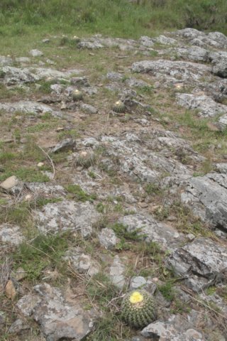 habitat.jpg
