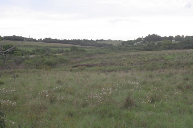 habitat.jpg