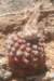 fraileabuenekeri2_small.jpg