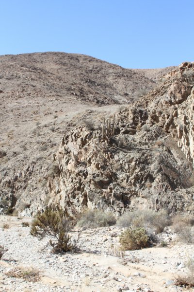 habitat.jpg
