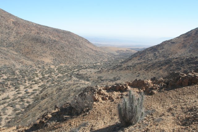 habitateulychniaacida.jpg
