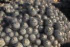 copiapoadealbata7_small.jpg