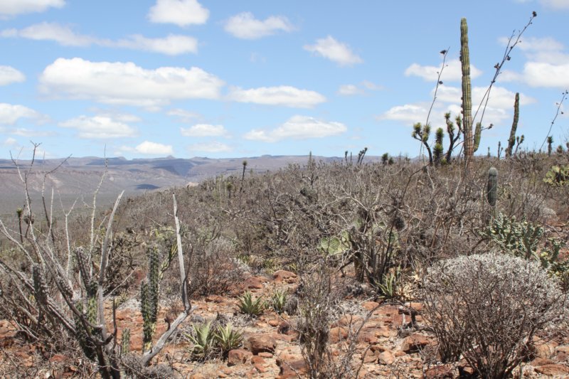 habitat.jpg
