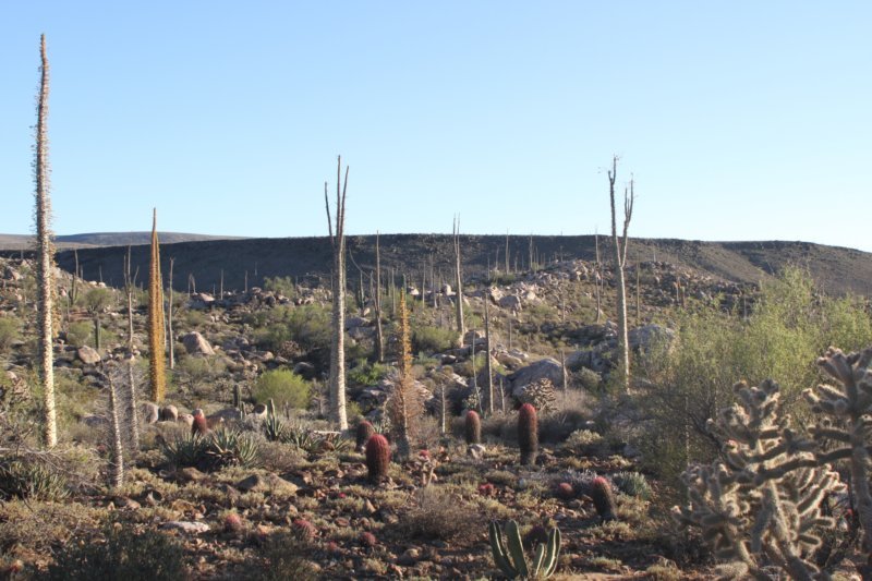 habitat.jpg