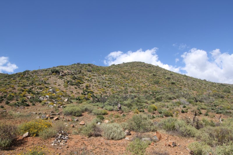 habitat.jpg