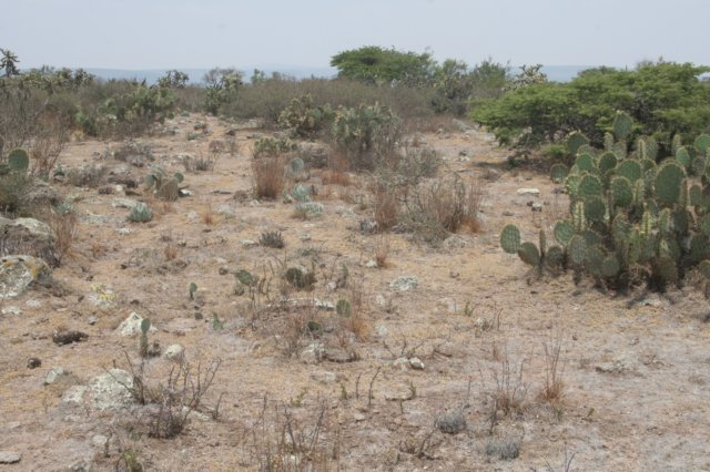habitatsanluisdelapazguanajuato.jpg