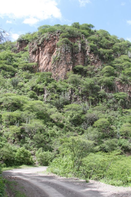 habitat.jpg