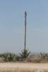 agavesp9791_small.jpg