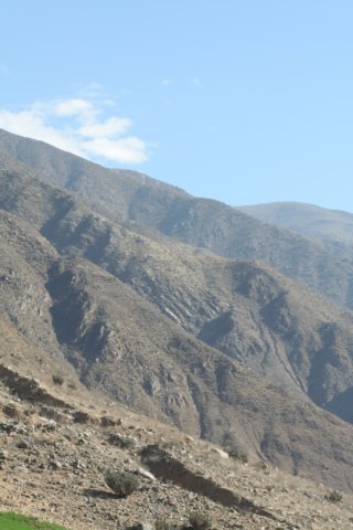 habitat.jpg
