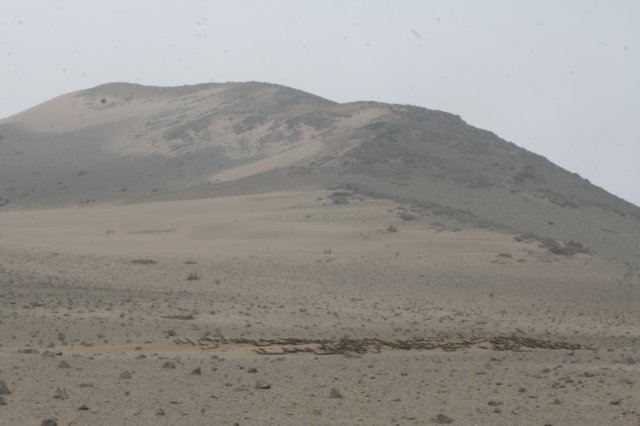 habitat.jpg