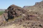 habitatcylindropuntiaacanthocarparhs_small.jpg