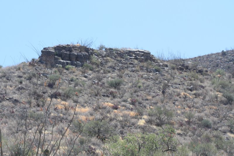 habitat.jpg