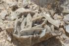 gypsum_small.jpg